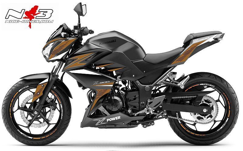 Motorrad Foliendesigns und Dekore - Z300 Power Dekor Gold auf schwarzer Maschine - Kawasaki Ninja 300 NB goldkl Z300 Power Dekor Gold auf schwarzer Maschine