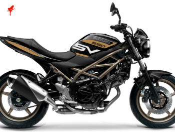 Motorrad Foliendesigns und Dekore - Shop - S.SV65.S.23.030 Olympic Gold Foliendesign Suzuki SV 650 2023 Olympic Gold