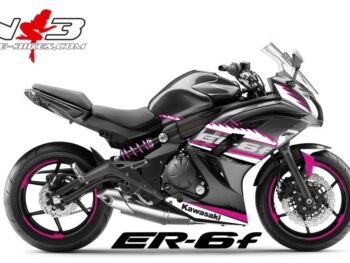 ER-6F Final Edition pink